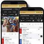 what is a flag bet in horse racing
